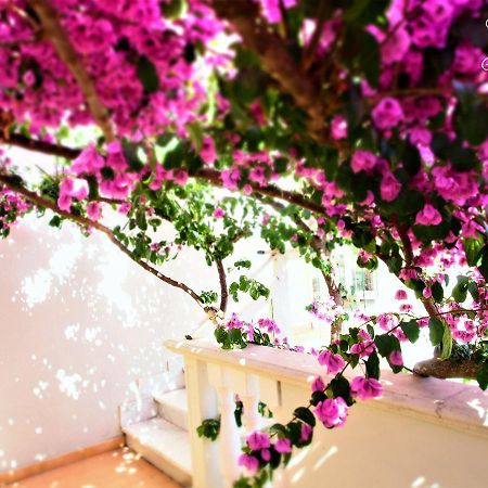Casamare Hotel Σαν Βιντσέντσο Εξωτερικό φωτογραφία