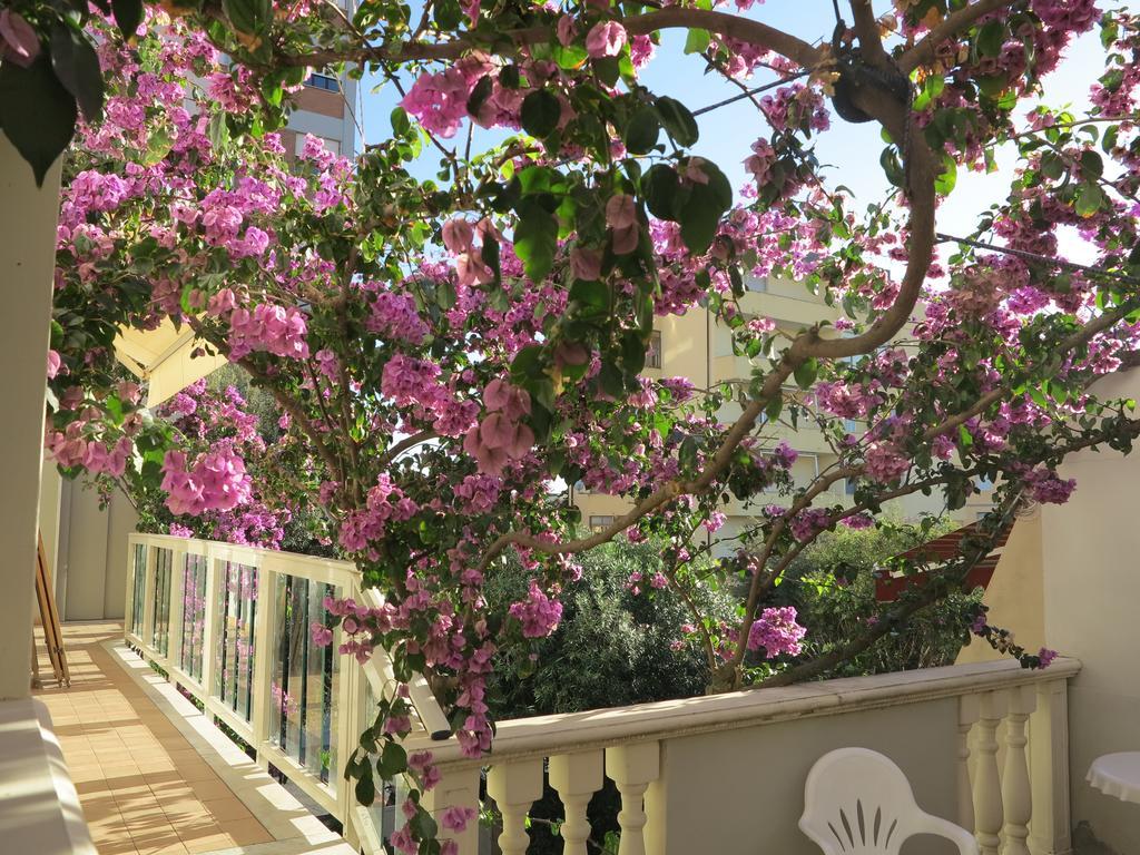 Casamare Hotel Σαν Βιντσέντσο Εξωτερικό φωτογραφία