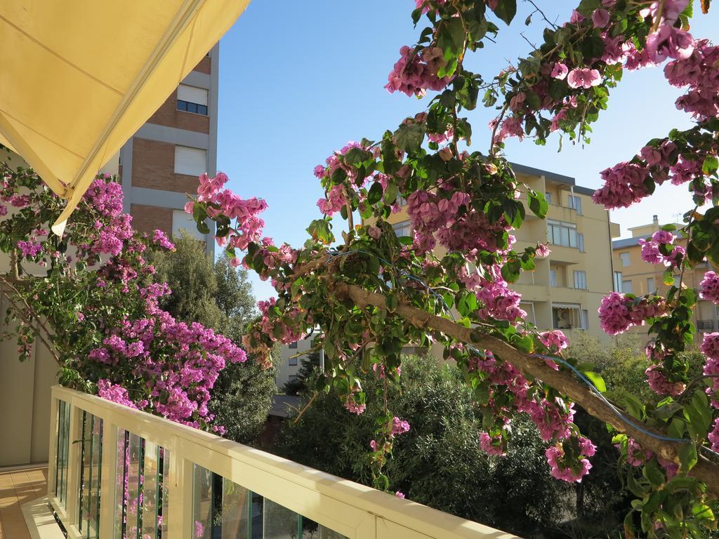 Casamare Hotel Σαν Βιντσέντσο Εξωτερικό φωτογραφία